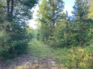 13.32 Hwy 60 Hwy, Bogalusa, LA 70427