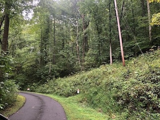 00 Misty Dawn Cir, Franklin, NC 28734
