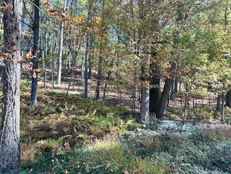 0 Pine Tree Ln, Mamakating, NY 12790