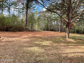 0 Lone Pine Rd Unit 4096466, Canton, MS 39046