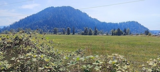 46502 268th Ave SE, Enumclaw, WA 98022