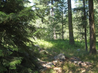 Lot #2 Knights Rd Unit 2, McCall, ID 83638