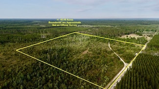 0 Off Hwy 225 Unit LotWP001 23435288, Gainesville, FL 32609