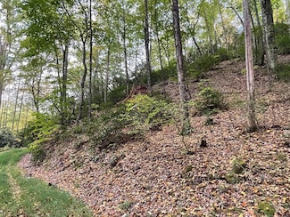 Lot 17 Bartram Trail Rd, Franklin, NC 28734