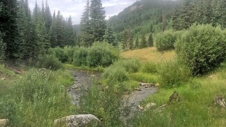Forest Service Road 766, Pitkin, CO 81241