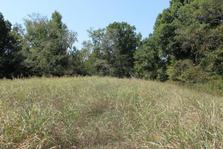 00 the Gates Dr, Decatur, TN 37322