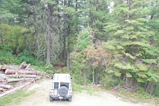 515 Collier View Rd, Cascade, ID 83611