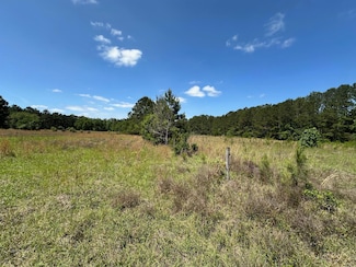 8441 Willtown Rd, Hollywood, SC 29449
