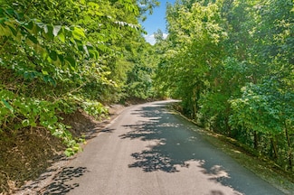 2 Shoreside Dr, Smithville, TN 37166