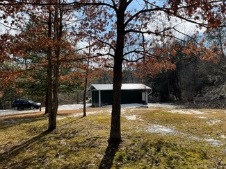 16063 5 Mile Rd, Hersey, MI 49639