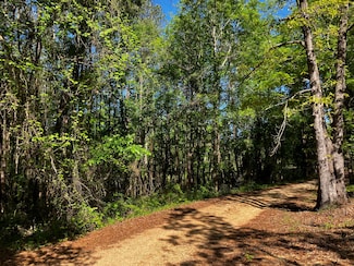 434 Burnt Bridge Rd, Hattiesburg, MS 39402