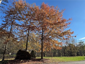 Lot #25 Oakland Heights Rd, Center Township, PA 15061