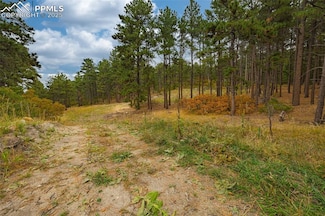 14420 S Perry Park Rd, Larkspur, CO 80118