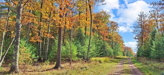 Lot 10 Raspberry Trail, Lapointe, WI 54850