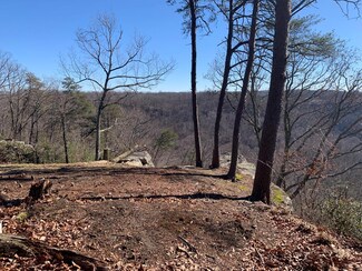 1.2 Dakota Ln, Spencer, TN 38585