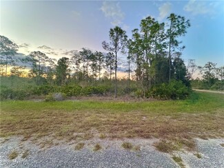 2135 Viscount Ave, Lehigh Acres, FL 33972