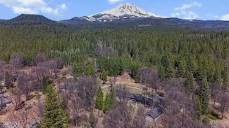 824 Quail Ct, McCloud, CA 96057