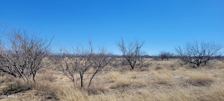 TBD Lot 8 Block 48 -- Unit 8, Pearce, AZ 85625