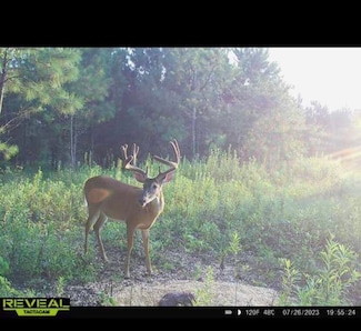 Edison Hwy, Coleman, GA 39836