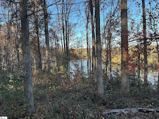 644 Buck Creek Rd, Chenee, SC 29323