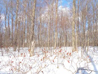 Lot 15 Sugar Ridge Ln, Hebron Township, MI 49718