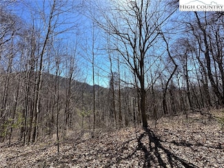 Lot 10 & Reserved Lo Yasmine Ln, Vilas, NC 28692
