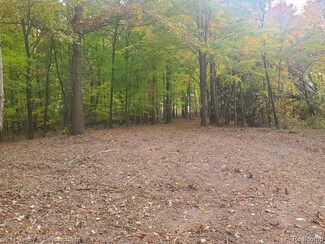6002 7 Mile Rd, Northville, MI 48167