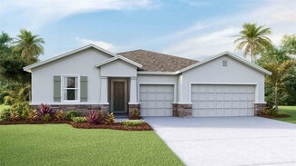 6120 Wandering Willow Dr, Wesley Chapel, FL 33545