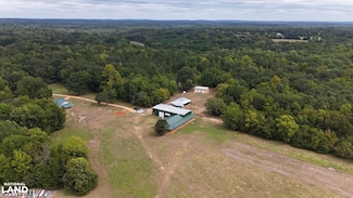 6040 Highway 28 E, Pine Apple, AL 36768