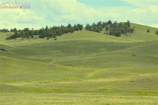 0 Ahlers Ln, Hartsel, CO 80449