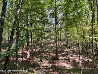 Lot 9 Pineview Ln, Dadeville, AL 36853