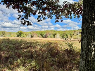 Parcel 1A Rd, Mio, MI 48647