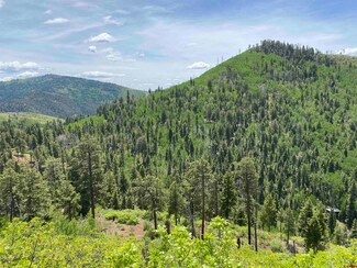 TBD County Road 243, Durango, CO 81301