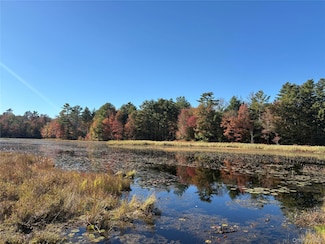 Lot 4 Deer Meadow Rd, White Lake, NY 12786