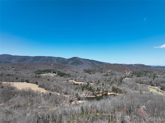 48.08 Acres (Off Of) Blueberry Ln, Patrick Springs, VA 24133