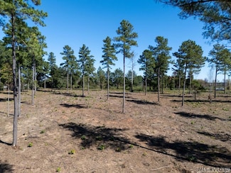 Lot 1 Christiana Hwy, Lawrenceville, VA 23868