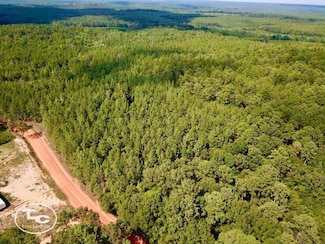 0 Rocky Hill Rd Unit 21217909, Uriah, AL 36480