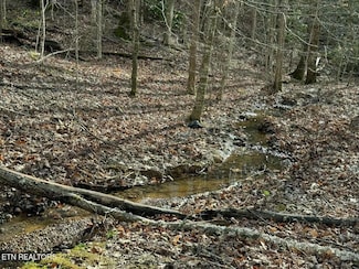 Lot 27 Pinnacle Vista Rd, Pittman Center, TN 37738