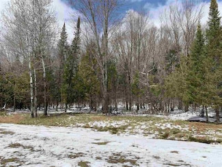 Lot 20 Keegan Ct, Wittenberg, WI 54499
