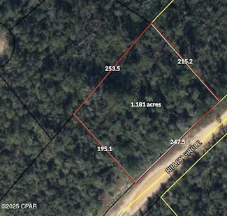 00 Ripley Cir, Alford, FL 32420