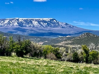 12518 54 7 10 Rd, Molina, CO 81646