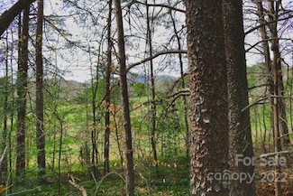 0 Westridge Dr Unit 87 CAR3897288, Lake Lure, NC 28746