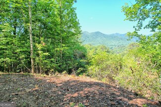 0 Raven Fork Trail Unit 20517071, Dillard, GA 30537