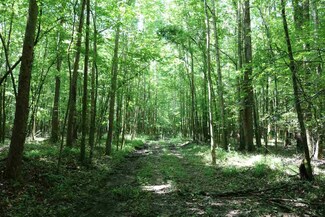 0 Horseshoe Rd Unit 1320431, Walnut Grove, MS 39189