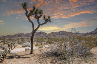 4444 Skyline Dr, Joshua Tree, CA 92252