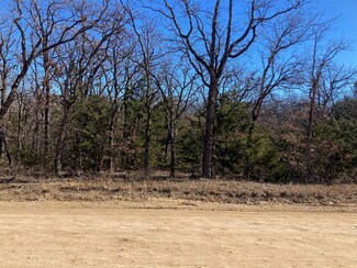 231 Boone Trail, Valley View, TX 76272