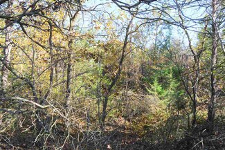 L3 Pine Prairie Ln, Buena Vista, WI 53556