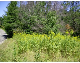 L5 E Washington Rd, Hinsdale, MA 01235