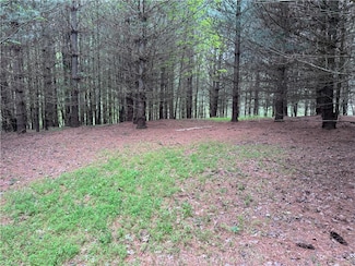 x Green Meadow Ln Unit 5 Ac S, Ararat, NC 27007