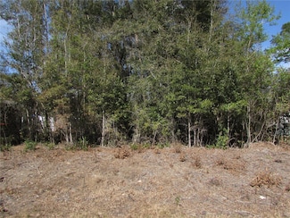 Lot 32 SW Robin Dr, Rainbow Lakes Estates, FL 34431